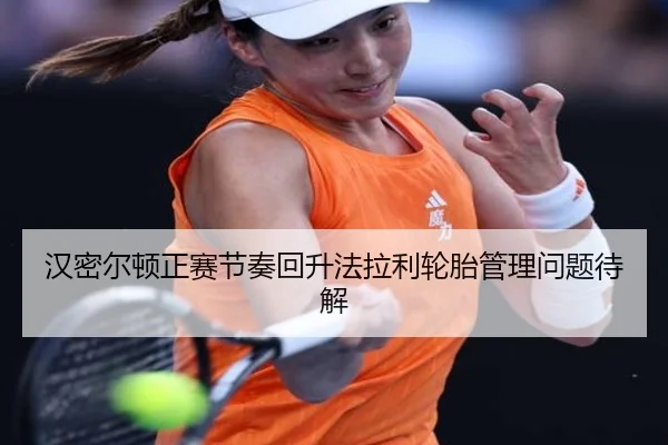 汉密尔顿正赛节奏回升法拉利轮胎管理问题待解